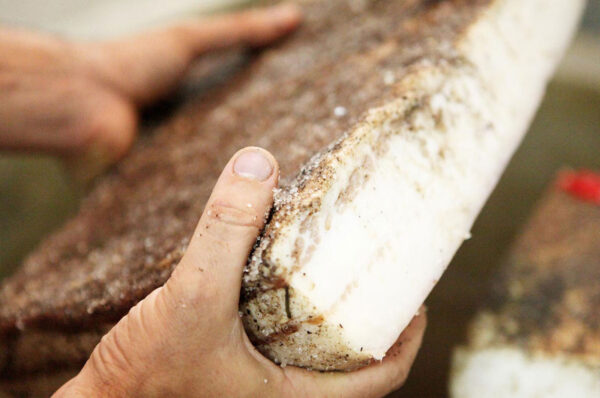 Lardo di Colonnata Le Larderie - Nicola Chiandotto Fresco Nordest - Latisana UD