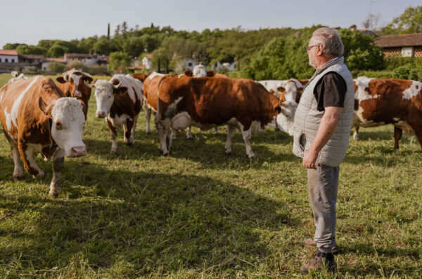 Formaggi Zoff - Nicola Chiandotto Fresco Nordest - Latisana UD