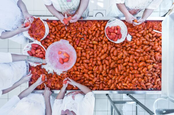 Salse Pomodoro Masseria Dauna - Nicola Chiandotto Fresco Nordest - Latisana UD