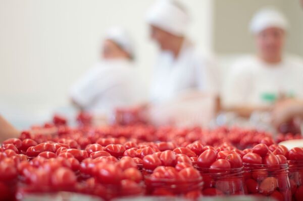 Salse Pomodoro Masseria Dauna - Nicola Chiandotto Fresco Nordest - Latisana UD