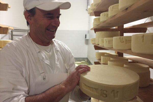 Latteria Trivignano Fresco Nordest - Latisana UD