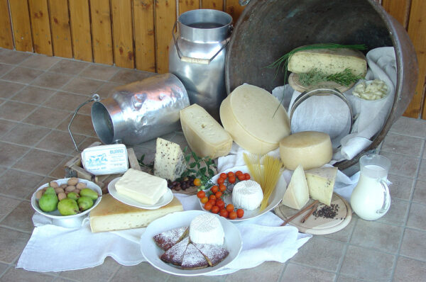 Latteria Trivignano Fresco Nordest - Latisana UD